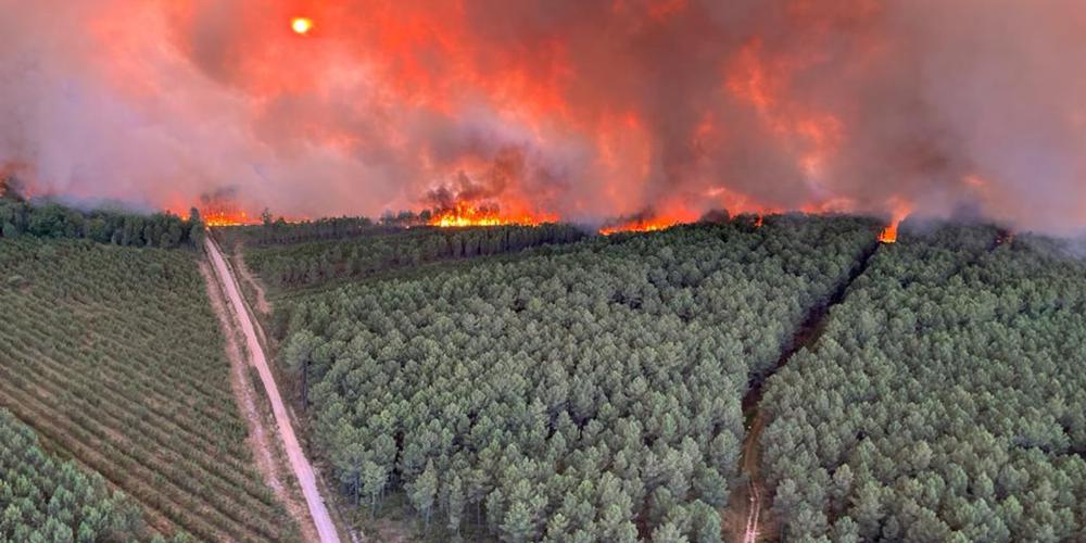 Incendie Gironde