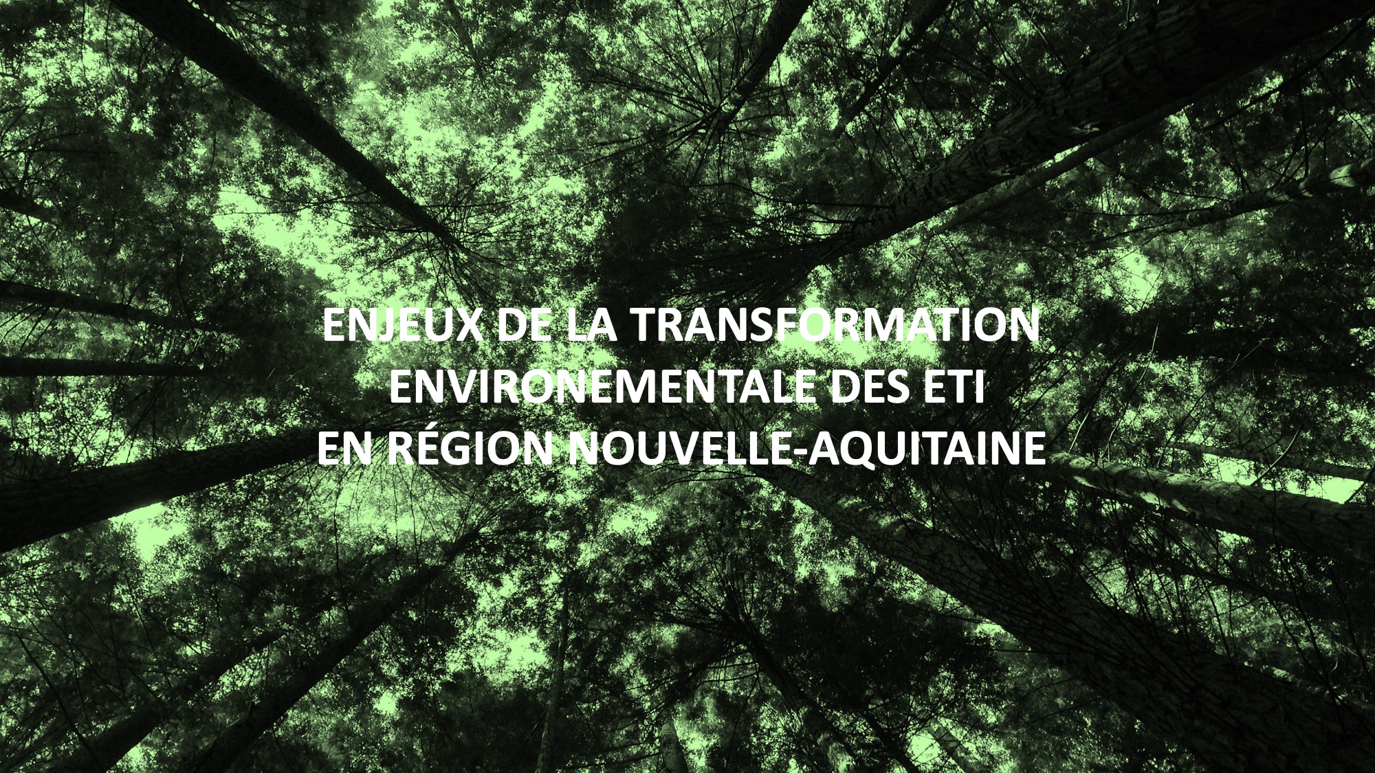 ENVIRONNEMENT